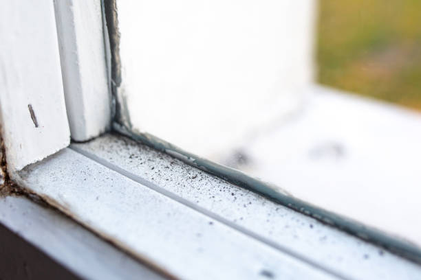 Best Airborne Mold Testing  in Abilene, TX